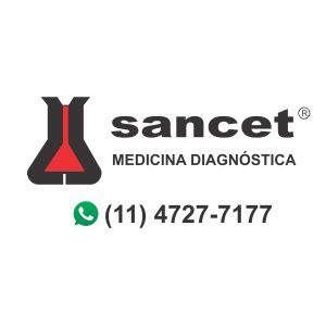 Logo Sancet